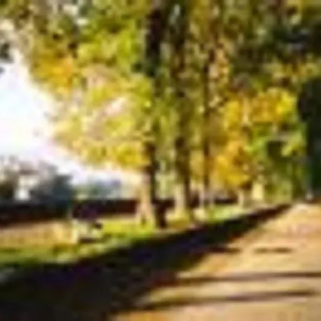 Apartment Holiday In Lucca